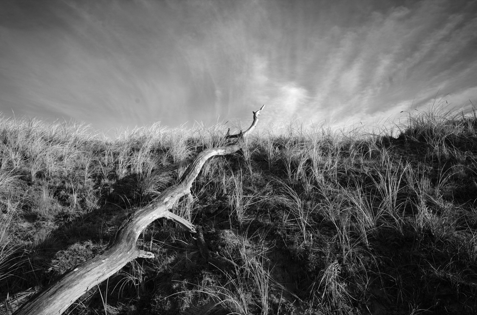 Strandstaket mot dramatiska moln