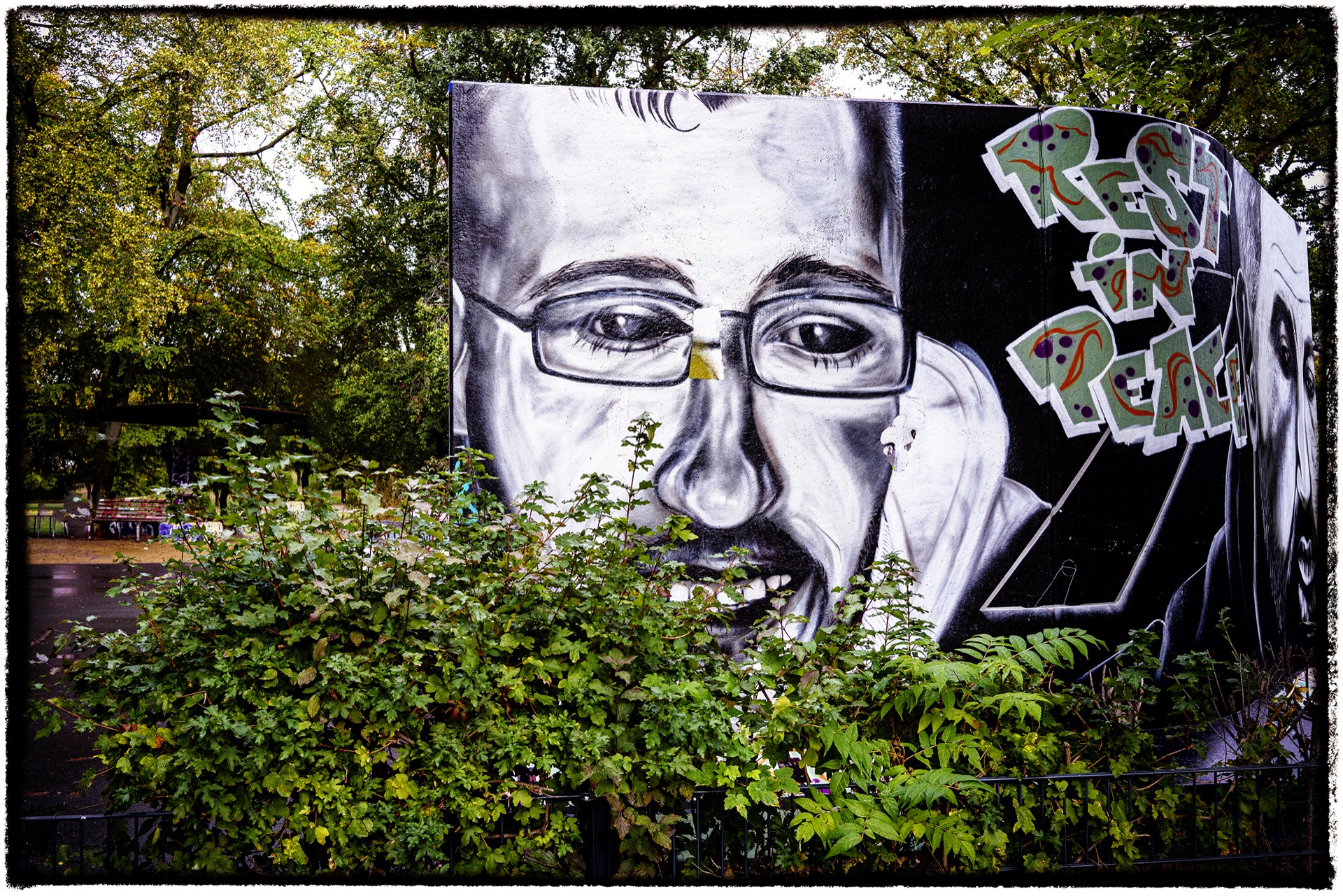 Stort svartvitt porträtt-graffiti med glasögon bakom grönska, Rest in Peace