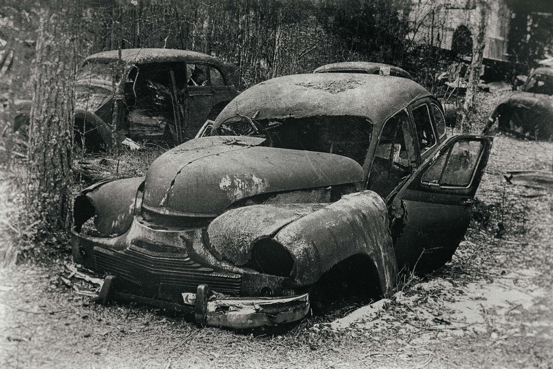 Övergivna bilar i skog, rostiga karosser täckta av löv