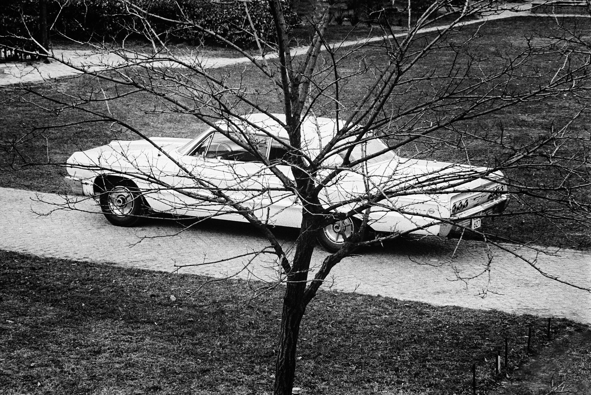 Vit amerikansk 1960-talsbil bakom kalt träd, svartvitt