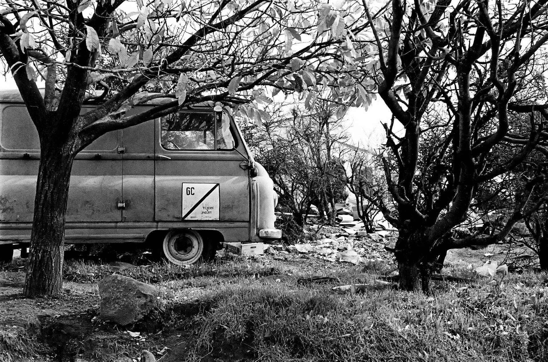 Skåpbil bland knotiga fruktträd i svartvitt