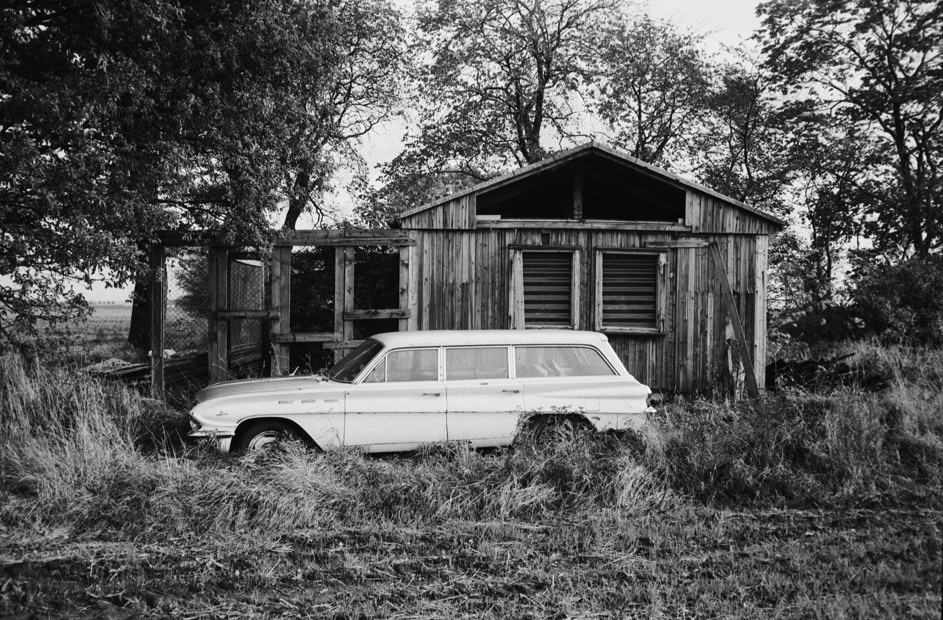 Vit herrgårdsvagn i högt gräs framför förfallen lada