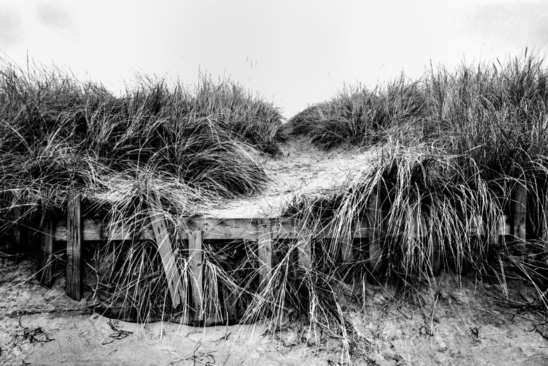 Staket med gräs på dyner