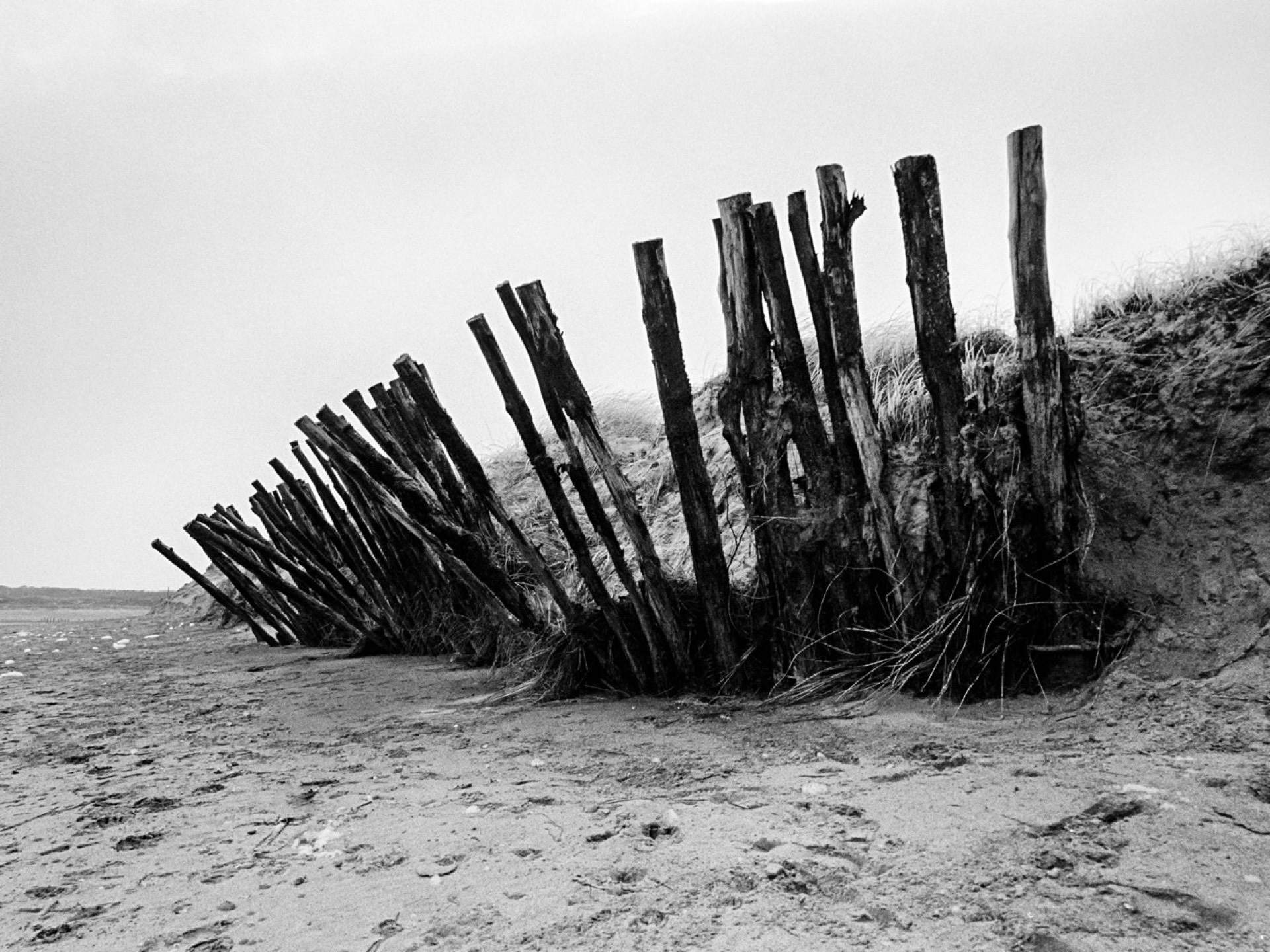 Trästaket i sanddyner