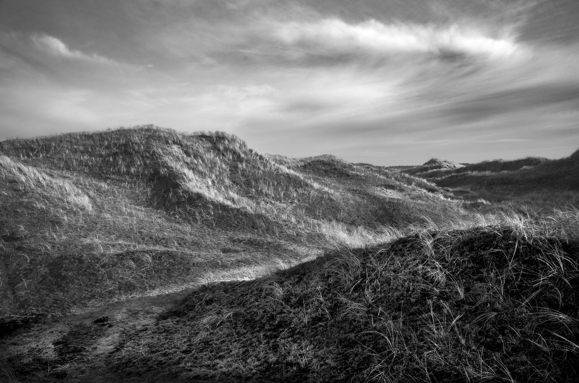 Böljande dynlandskap med gräs och cirrusmoln, svartvitt