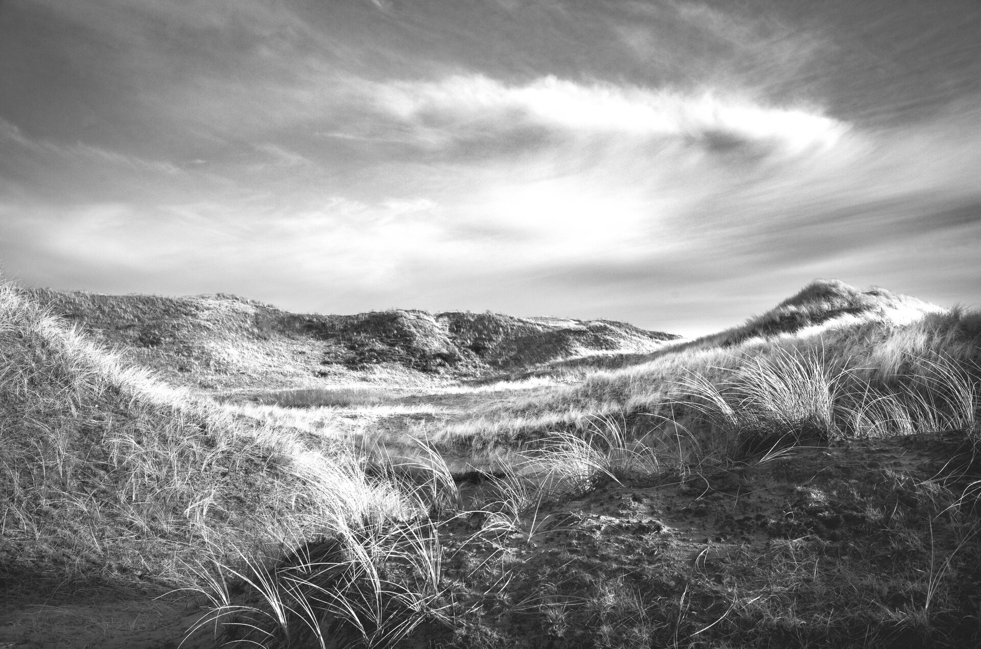 Ljusbelysta dyner med stig och vajande gräs, svartvitt