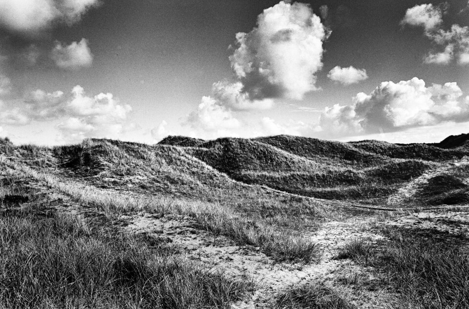 Böljande gräsklädda sanddyner med sandstigar, spridda cumulusmoln på solig himmel, svartvitt