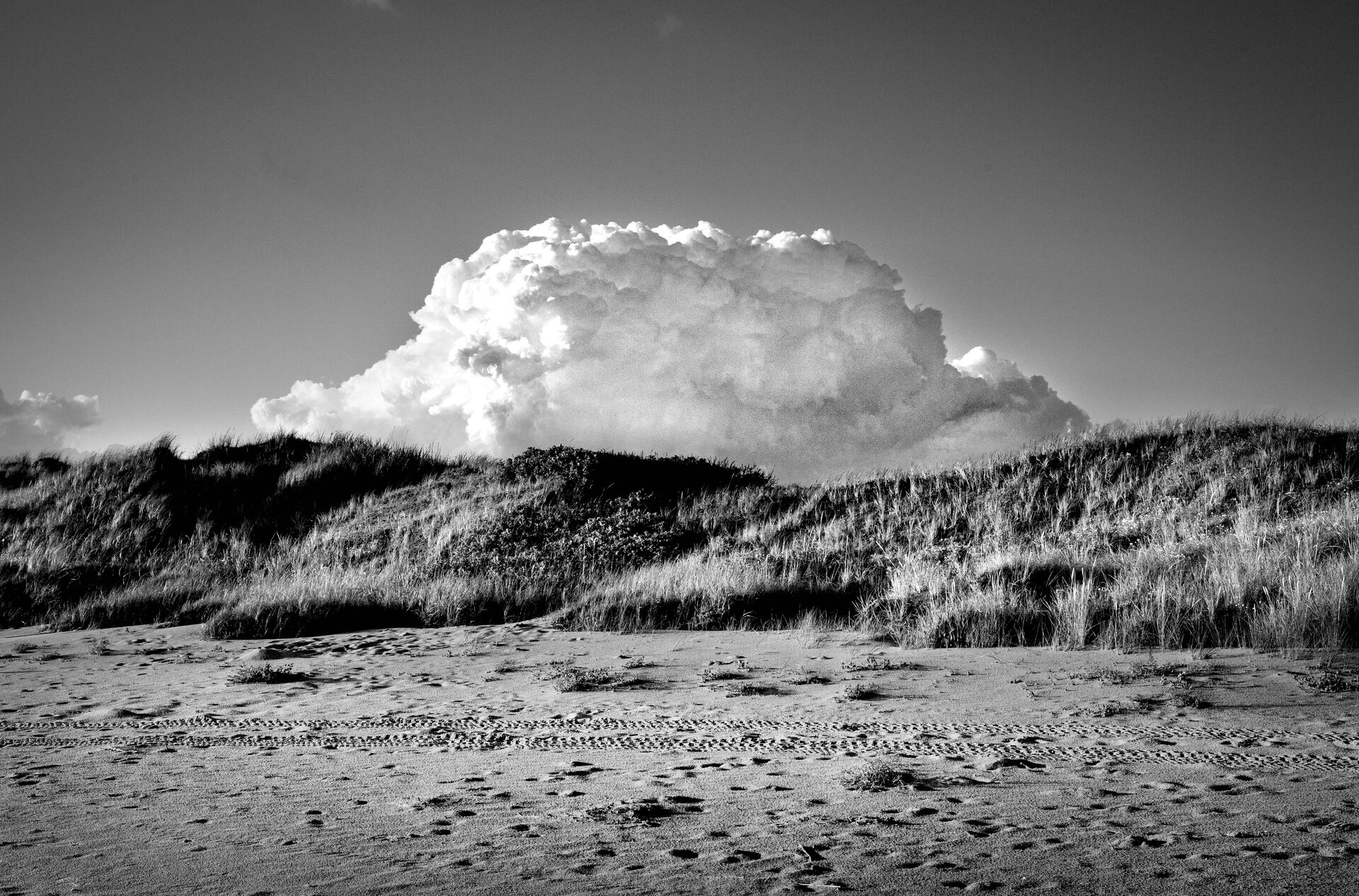 Stor cumulusmoln reser sig över gräsbevuxna dyner, svartvitt