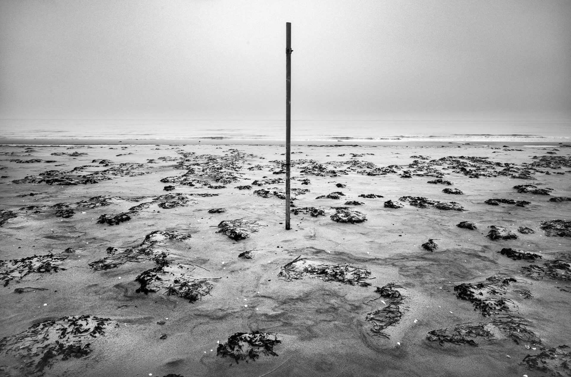 Ensam stolpe på tångbeströdd strand i dimma, svartvitt