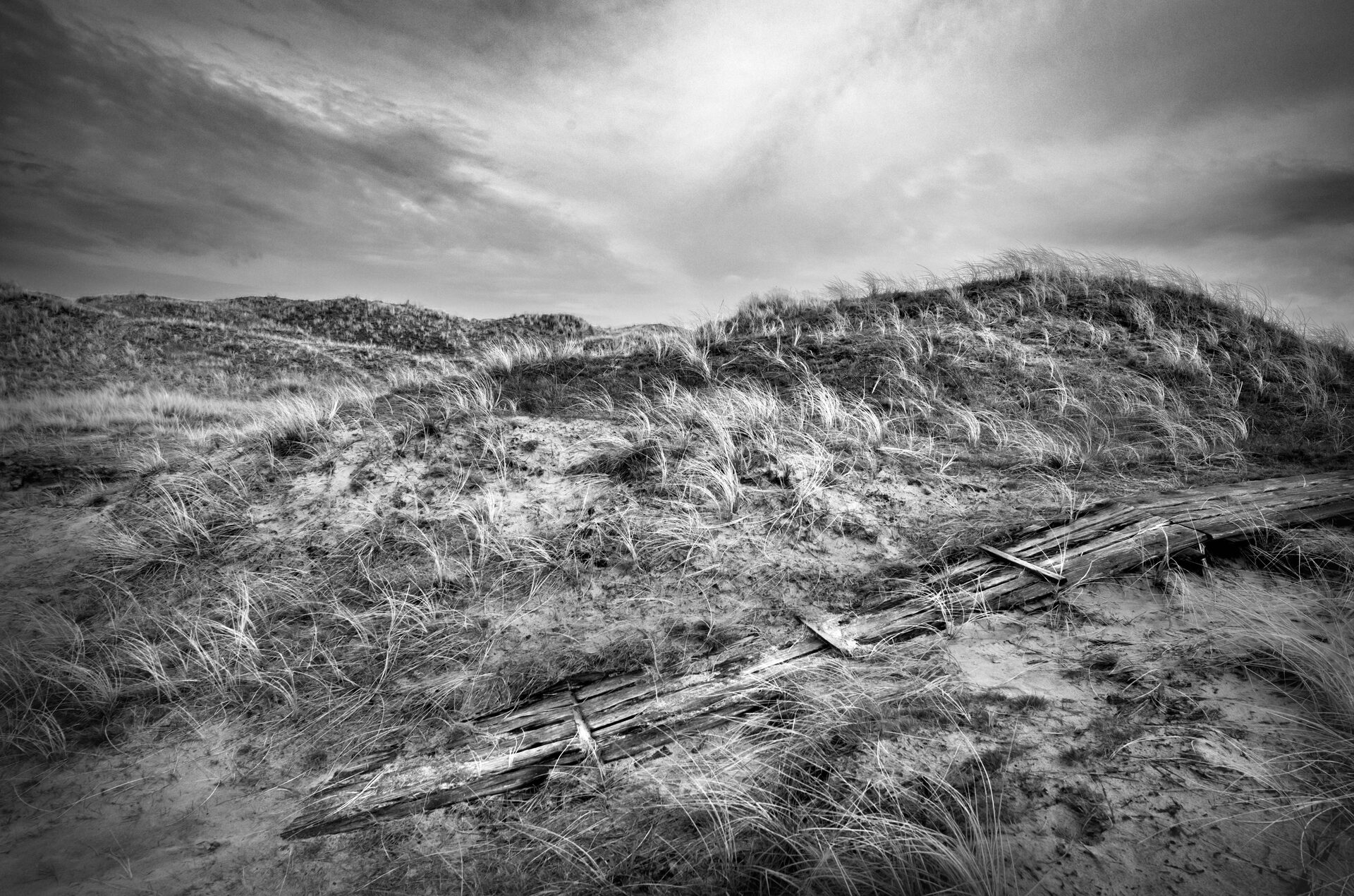 Sönderfallande träspång i dynlandskap med blåsigt gräs, svartvitt
