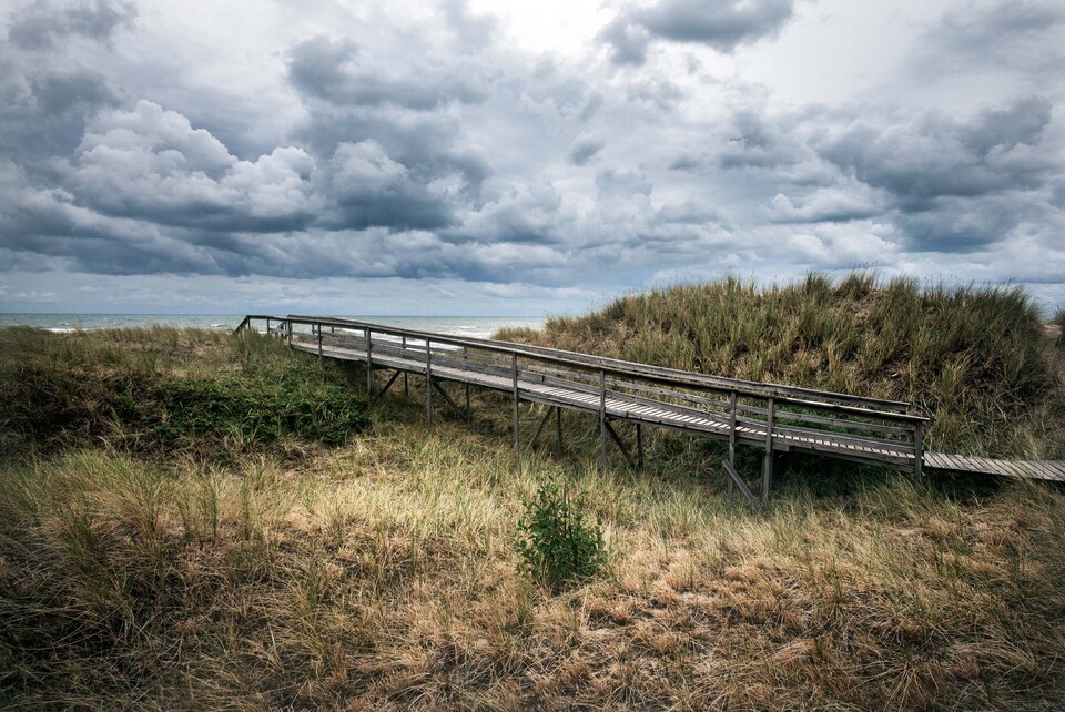 Tr&auml;sp&aring;ng som leder ut mot havet genom dynerna under tunga sommarmoln