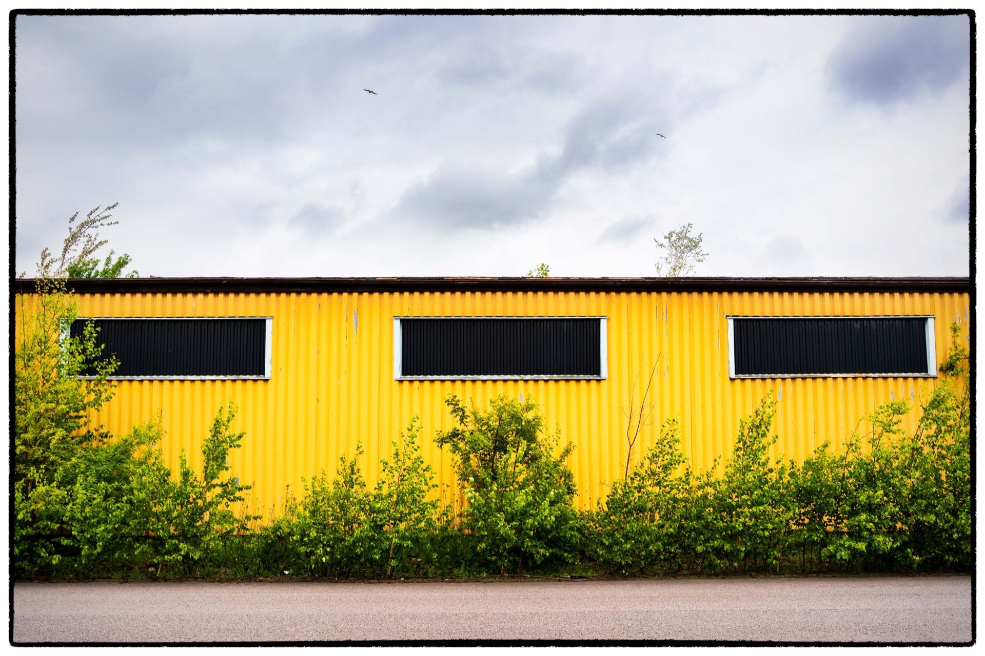 Gul plåtklädd lagerbyggnad med tre svarta fönster och buskar