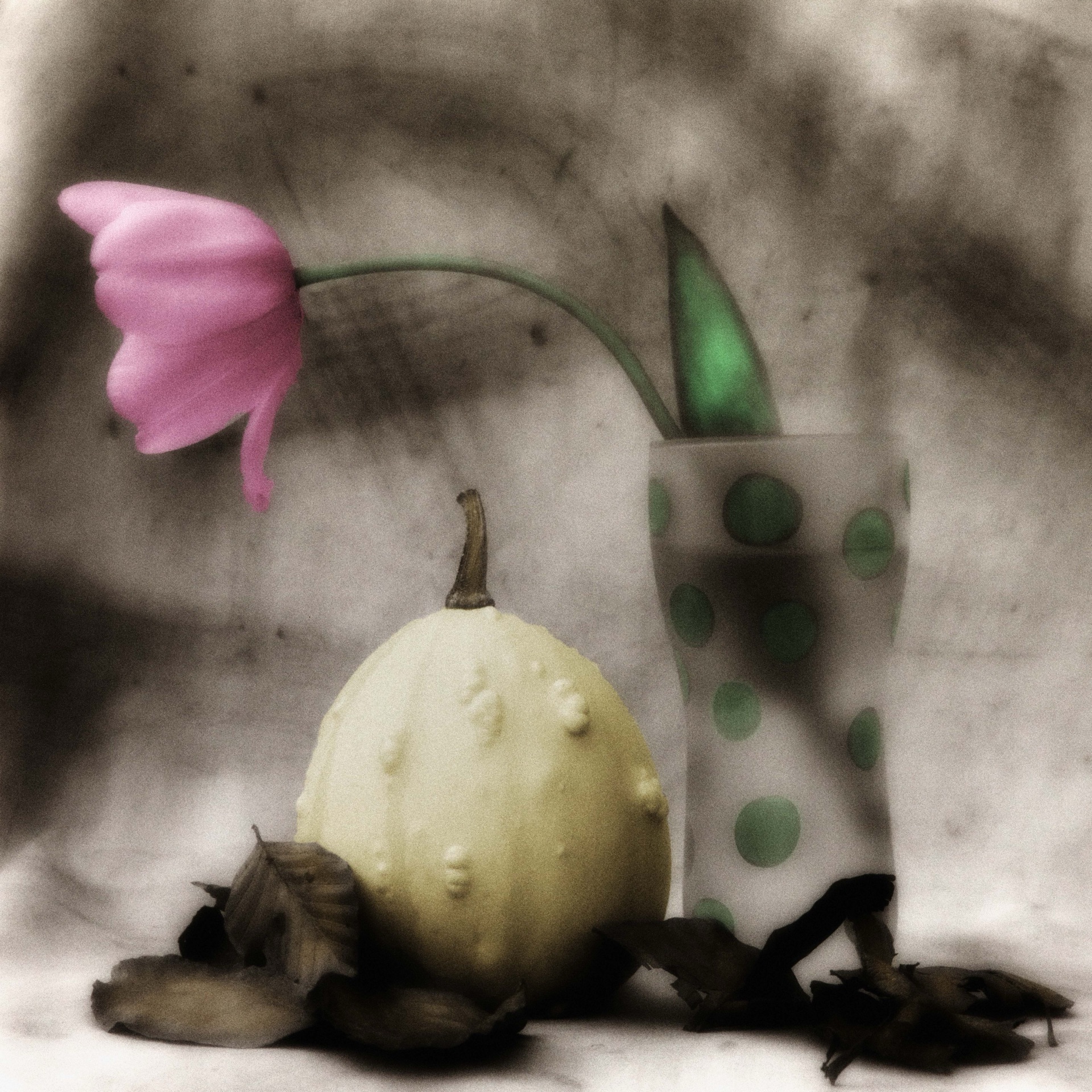 Rosa tulpan, vit pumpa och prickigt glas i handkolorerat stilleben