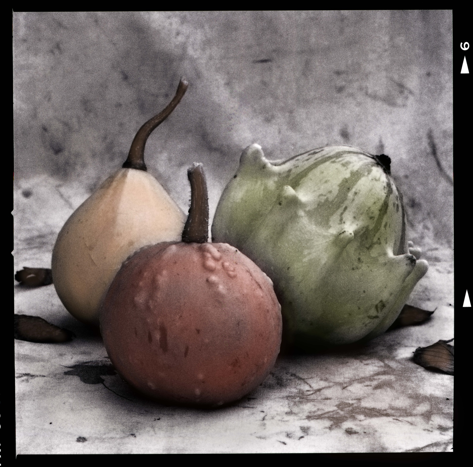 Tre pumpor i beige, rött och grönt lutade mot varandra