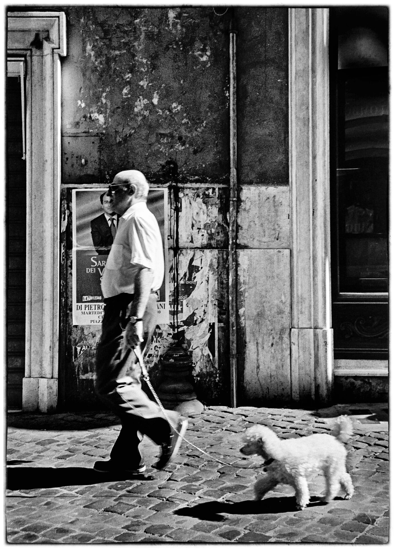 Elegant man med solglasögon rastar vit pudel på kullerstensgata