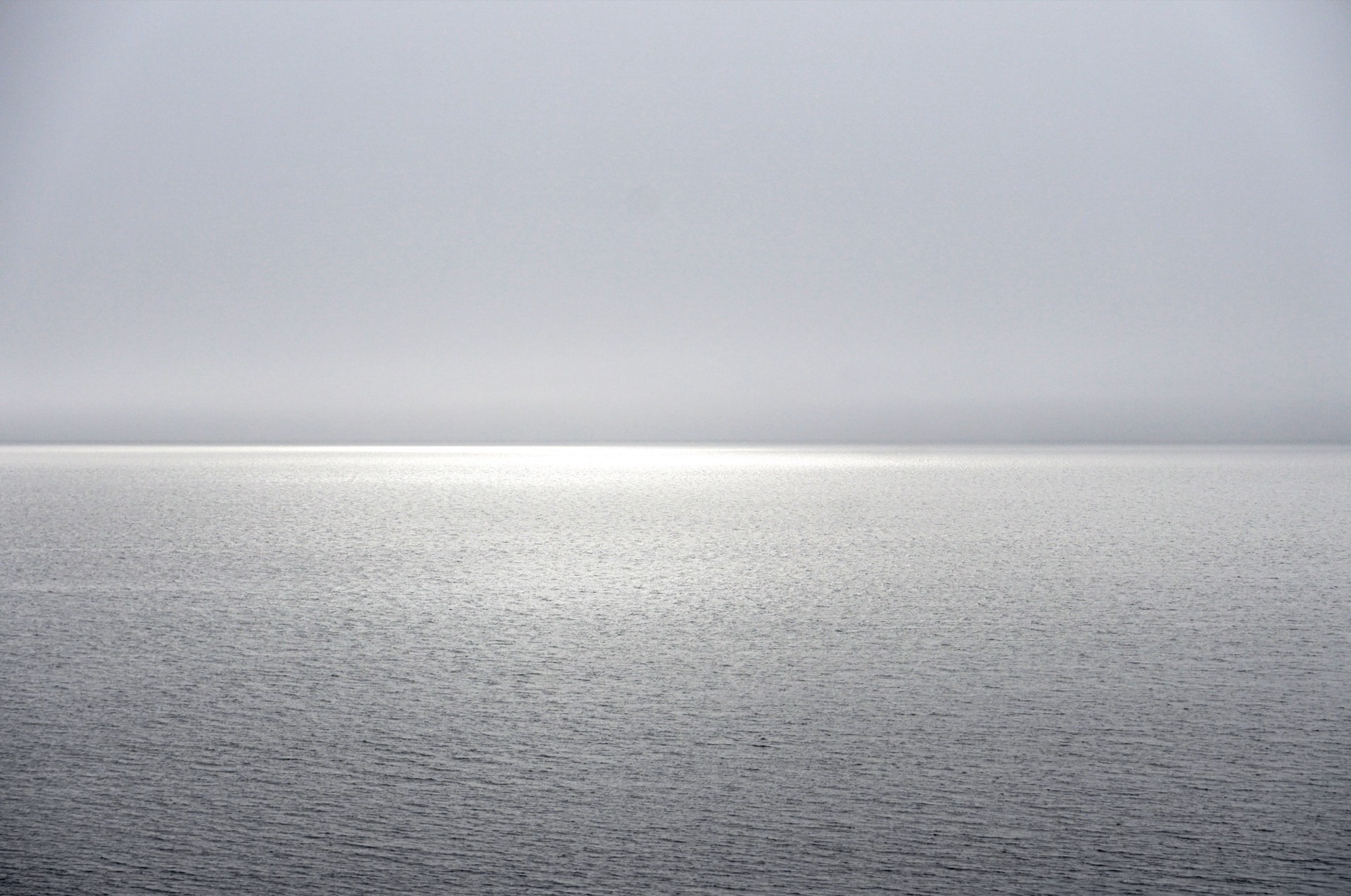 Stilla havshorisont i gråskala med mjukt ljus