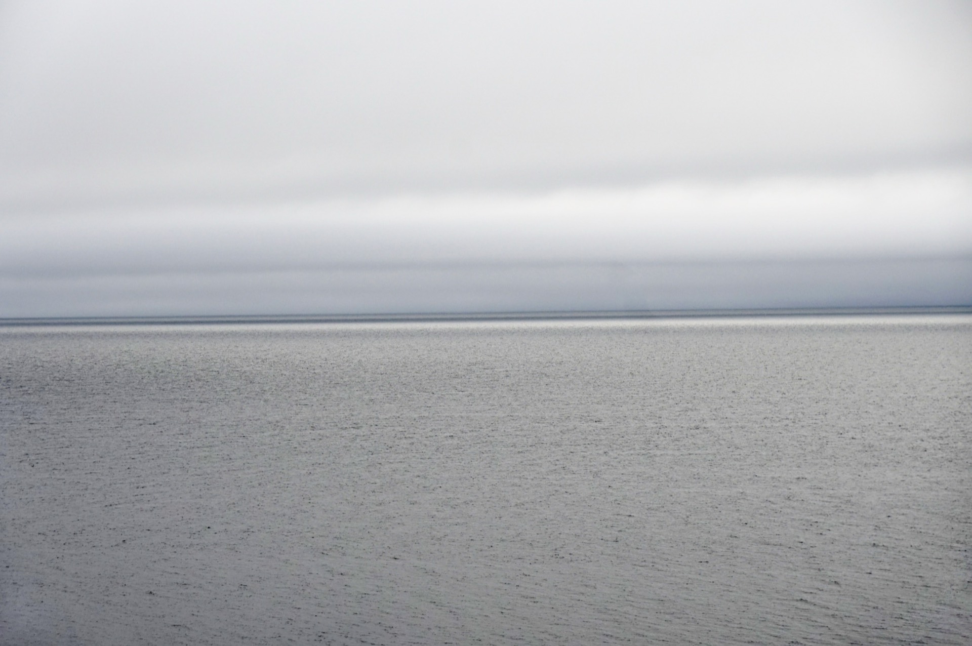 Kontemplativ havshorisont i silvergrått