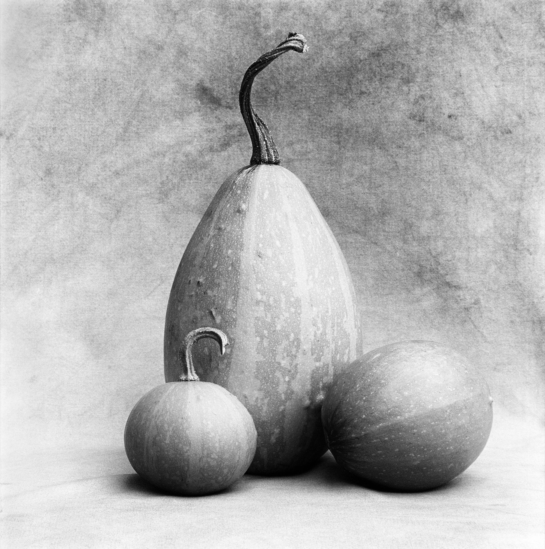 Tre pumpor i olika storlekar, skulpturalt arrangerade