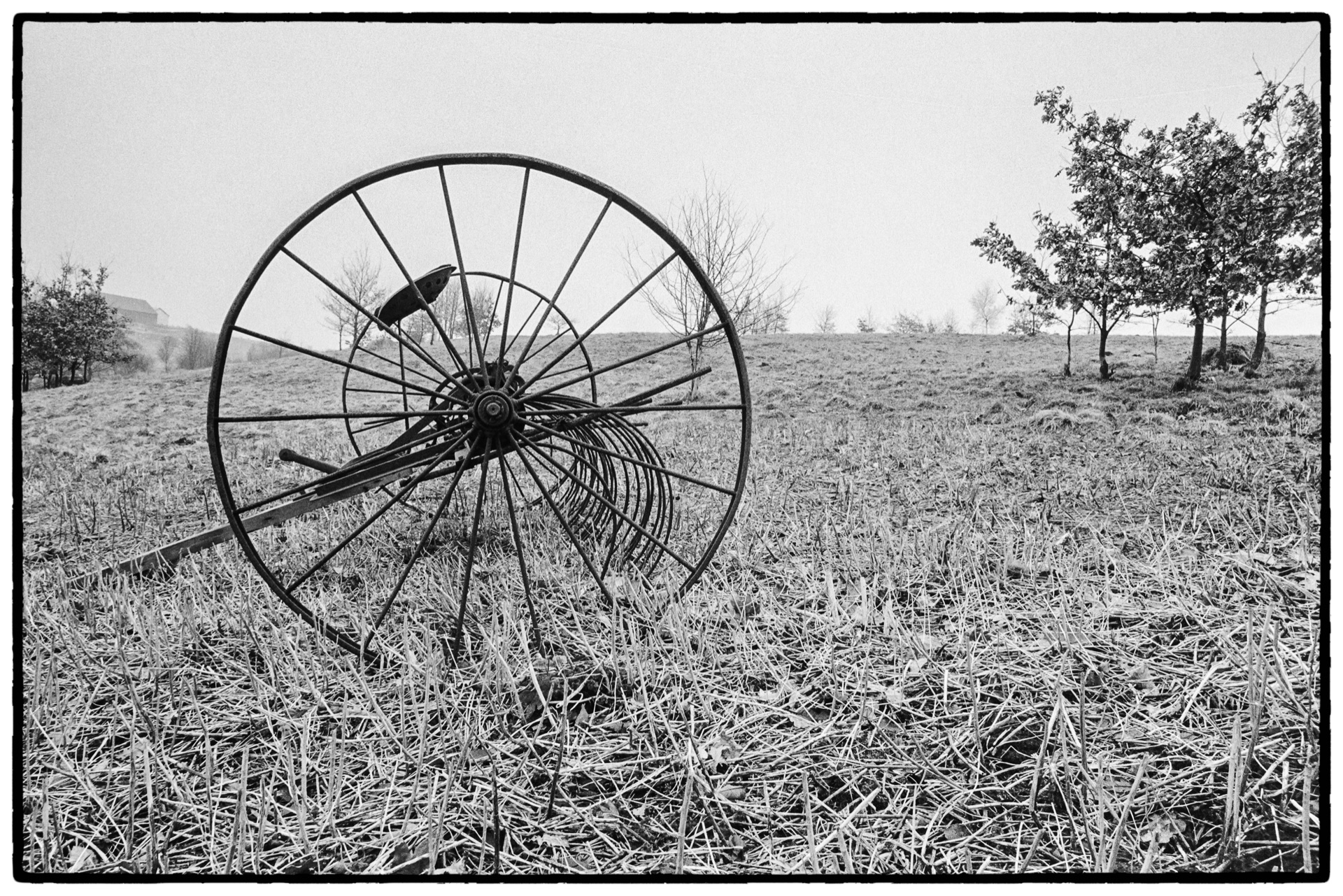 Gammalt rostigt jordbrukshjul på frostigt fält med träd i bakgrunden